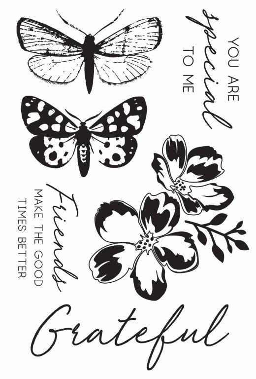 Kaisercraft - Clear Stamps