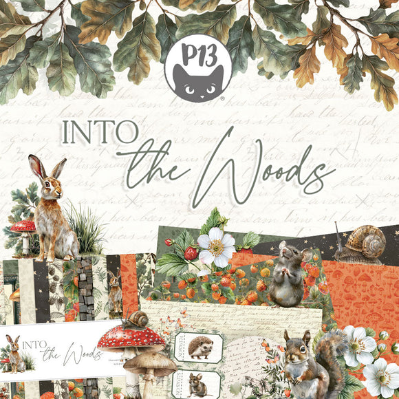 Into the Woods by P13