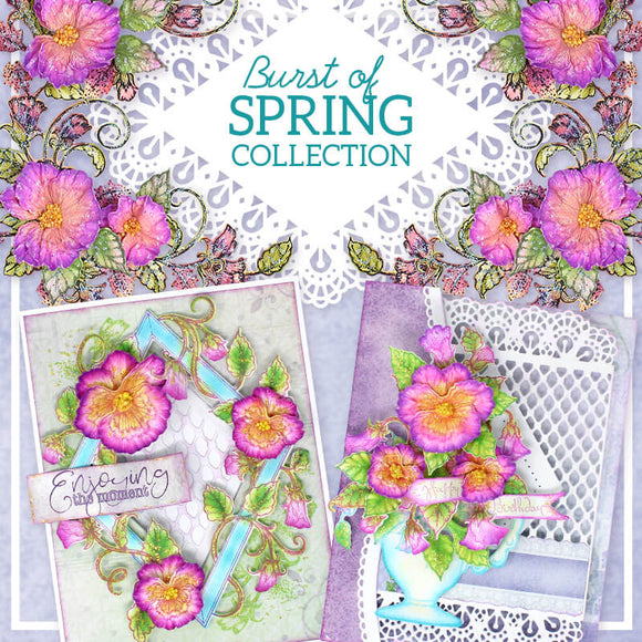 Heartfelt Creations - Burst of Spring Feb 19