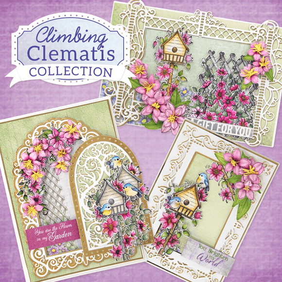 Heartfelt Creations - Climbing Clematis (Jun21) **PRE ORDER NOW**