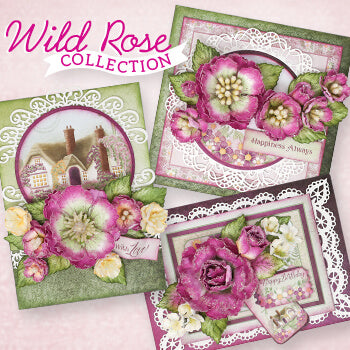 Heartfelt Creations - Wild Rose (March 20)