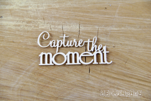 Capture the Moment -  Decorative Chipboard (3751)