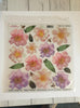 Printed Clear Sheet : Series 1/06 - Wild Rose (Sospeso Trasparentene)