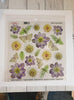 Printed Clear Sheet : Series 3/18 - Blue Clematis (Sospeso Trasparentene)