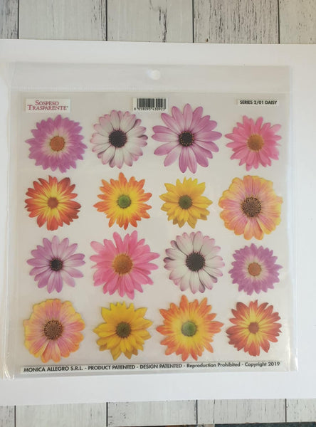 Printed Clear Sheet : Series 2/01 - Daisy (Sospeso Trasparentene)