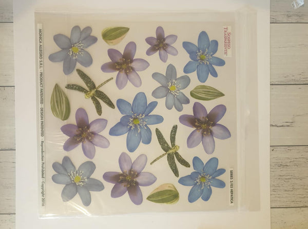 Printed Clear Sheet : Series 2/03 - Hepatica (Sospeso Trasparentene)