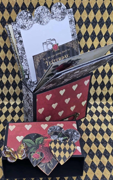 Curiouser & Curiouser Flip Out Album Box - FYI2025 Class