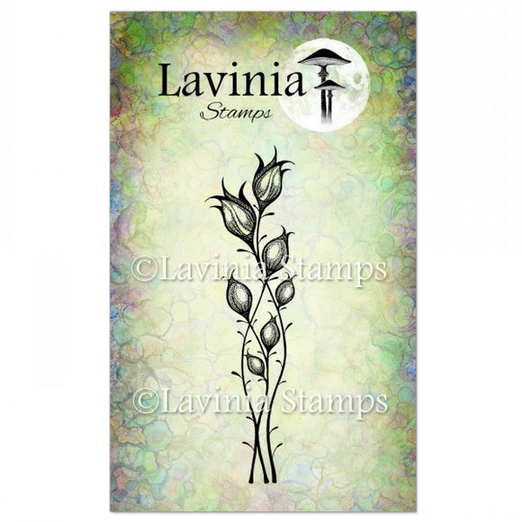 Lavinia Stamps - LAV467 Star Blossom