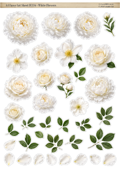 FC116 -White Flowers - A4 Fussy Cut Sheet/Digital Download/Die Cuts