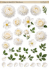 FC116 -White Flowers - A4 Fussy Cut Sheet/Digital Download/Die Cuts