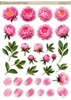 FC103 - Peony Flowers A4 Fussy Cut Sheet/Digital Download/Die Cuts