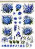 DC117 : Blue Flowers - 350GSM Die Cut Sheet