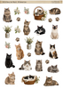 FC124 : All about Cats - A4 Fussy Cut Sheet