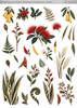Geometric Floral Elements 12x12 Paper Pack