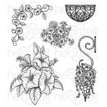 HCPC-3787/HCD1-7141 - Classic Petunia Bouquet Stamp & Die Combo