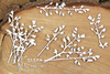 Big Branches -  Decorative Chipboard (5544)