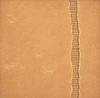 Workshop Backgrounds 12x12 Paper Pack