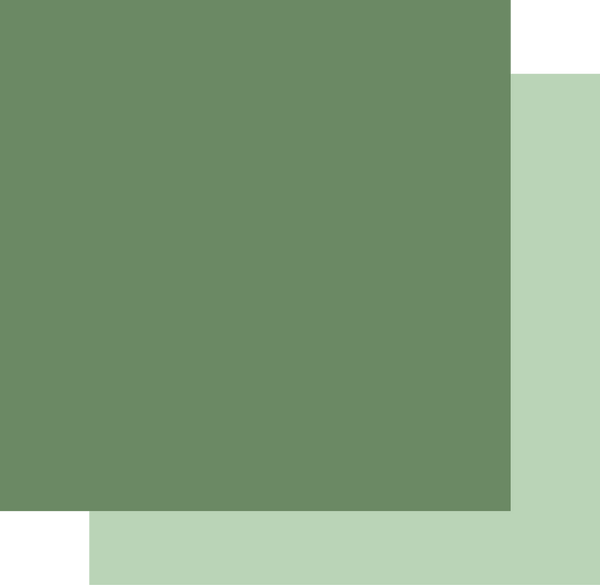 UCCA1776 : Pine Cardstock (250gsm)