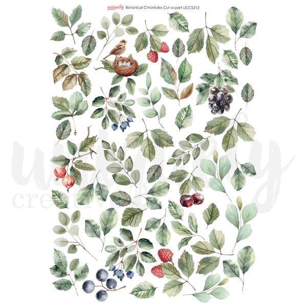 Botanical Chronicles Cut Apart Sheet