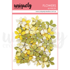 UCE2203 : Golden Meadow Flowers (Sweet as Honey)