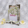 C2601 : Floral Arrangement Calendar (CK)