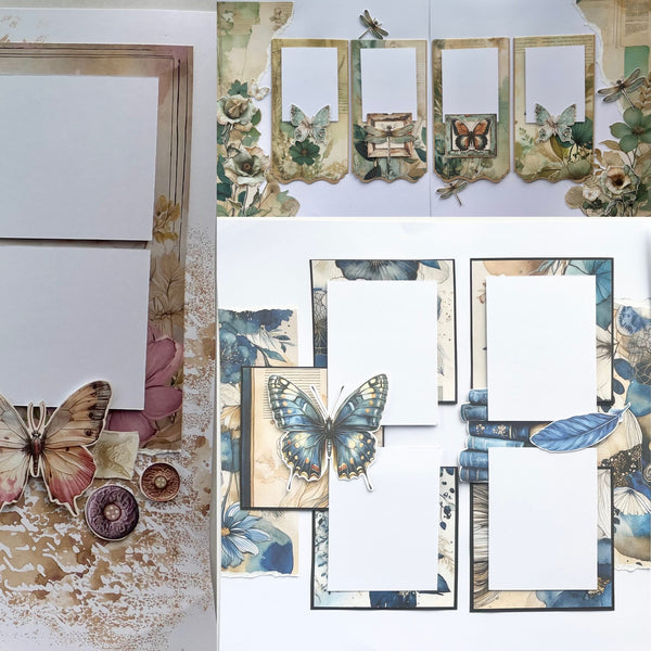 Mintay Layout 'Your Choice'  : Alison Bevis Christchurch Show Class Fri 17/04/26 11am-12am