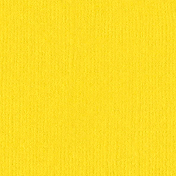 Intense Yellow (Bazzill 12x12 Cardstock)