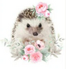 Diamond Art - Hedgehog