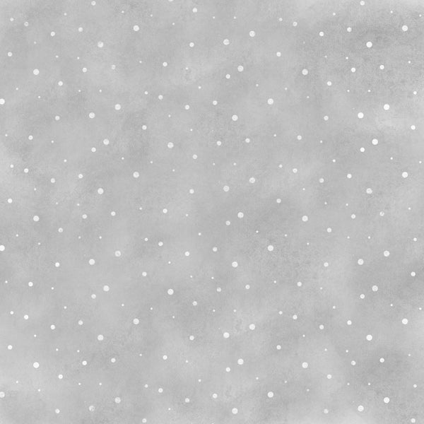 Kaisercraft : P2957 - Whimsy Wishes 12x12 Scrapbook Paper - FALLING SNOW