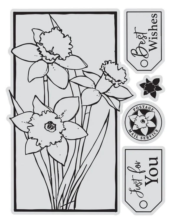 Couture Creations - Stamp & Colour Outline Stamps - Framed Daffodils (5pcs) CO728705