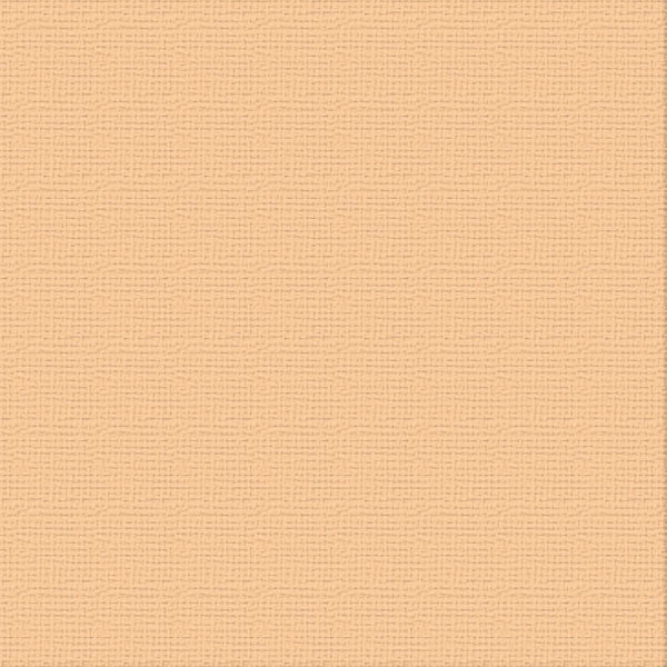 Cardstock - 12x12 - Cantelaupe (250gsm)