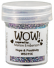 WS311X :  Hope & Positivity - X Embossing Glitter (15g jar)