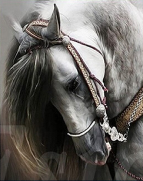 Diamond Art - White Horse