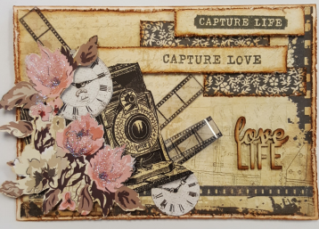**INSTRUCTIONS ONLY** for Capture Life Card Kit (CK)*