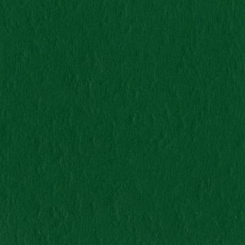 Classic Green (Bazzill 12x12 Cardstock)