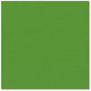 Classic Yellowgreen (Bazzill 12x12 Cardstock)