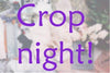 Crop Night Booking Fri 05/02/21