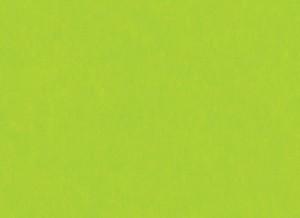 Electric Green (Bazzill Electrics 12x12 Cardstock)