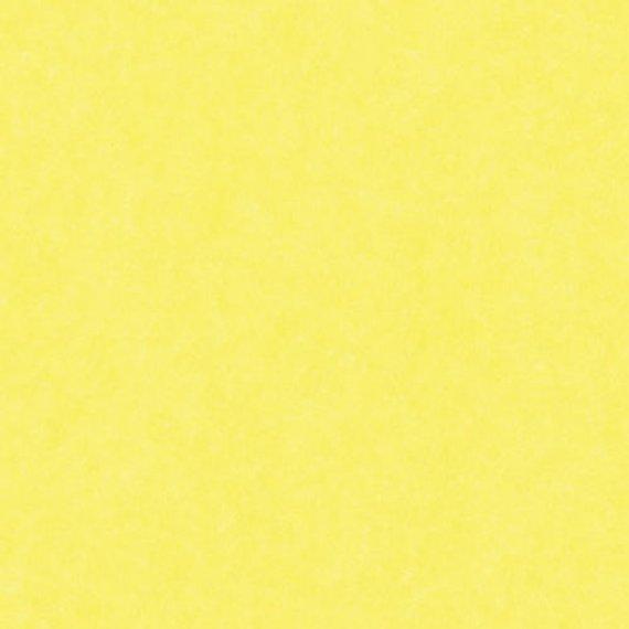 Electric Yellow (Bazzill Electrics 12x12 Cardstock)