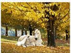 Diamond Art - Horses under Tree