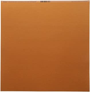 Orange Slice (Bazzill 12x12 Cardstock)