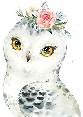 Diamond Art - Owl