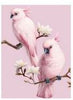Diamond Art - Pink Birds