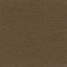 Suede Brown Medium (Bazzill 12x12 Cardstock)