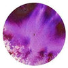 Brusho Colours- Violet