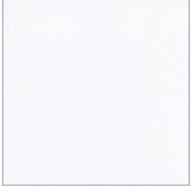 Classic Smooth White (Bazzill 12x12 Cardstock)